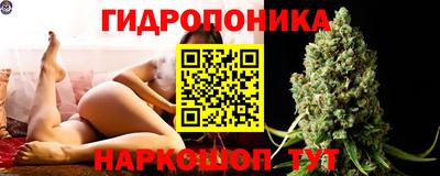 не бодяженный Камышлов