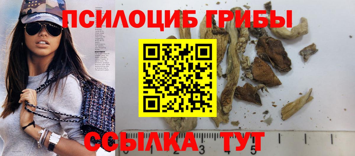 наркота  Галлюциногенные грибы ЛСД  Вход с VPN  Кропоткин 