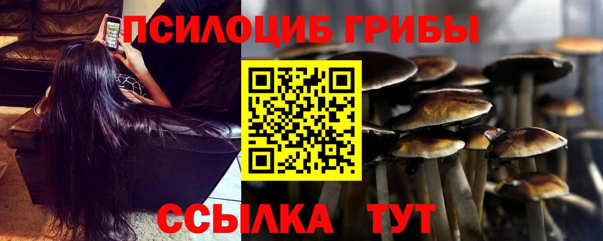 Галлюциногенные грибы прущие грибы Кропоткин